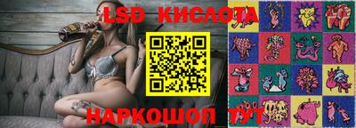 хмурый Сланцы