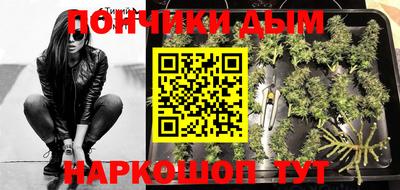 хмурый Сланцы