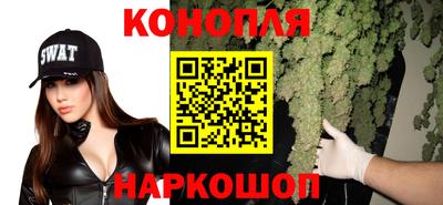 хмурый Сланцы
