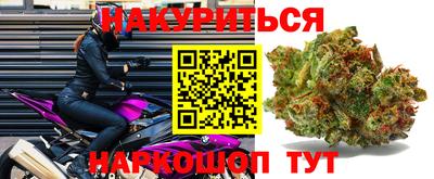 хмурый Сланцы
