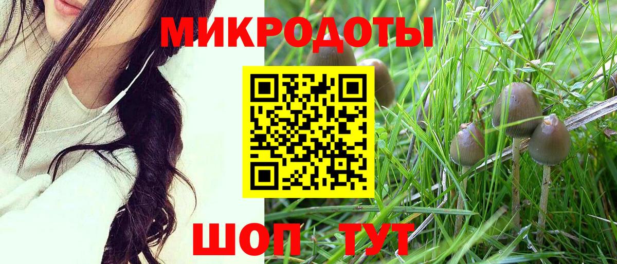 Галлюциногенные грибы прущие грибы  Вход с VPN  Москва  купить наркоту  Псилоцибиновые грибы Magic Shrooms 